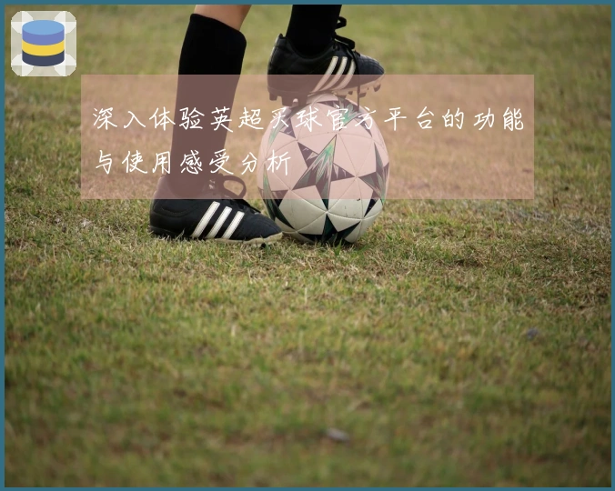 深入体验英超买球官方平台的功能与使用感受分析