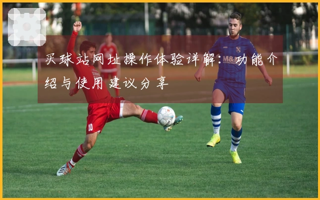 买球站网址操作体验详解：功能介绍与使用建议分享