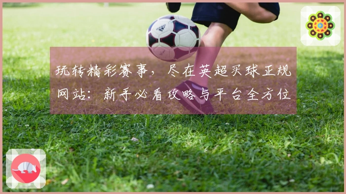 玩转精彩赛事，尽在英超买球正规网站：新手必看攻略与平台全方位体验