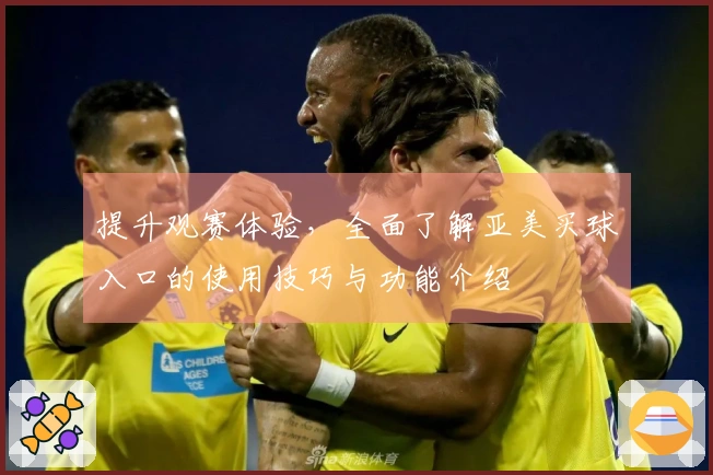提升观赛体验，全面了解亚美买球入口的使用技巧与功能介绍